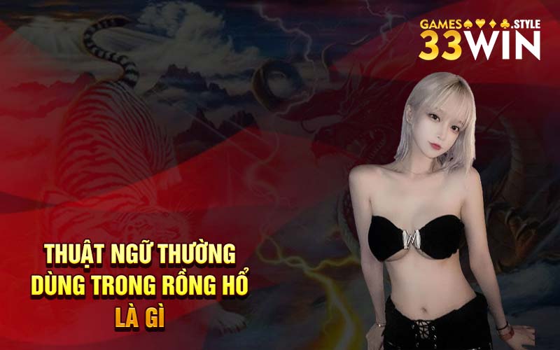 Thuật ngữ thường dùng trong rồng hổ là gì 